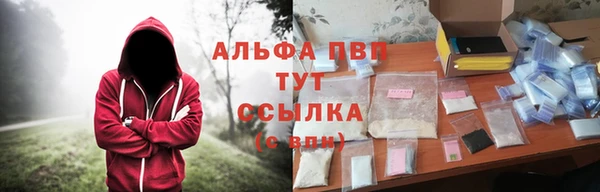 СК Пестово