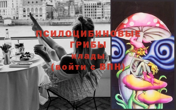 СК Пестово