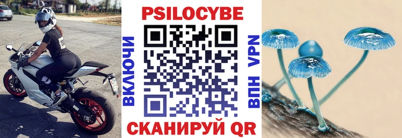 наркота  Заводоуковск  Псилоцибиновые грибы Psilocybine cubensis 